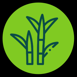 Agronômica
