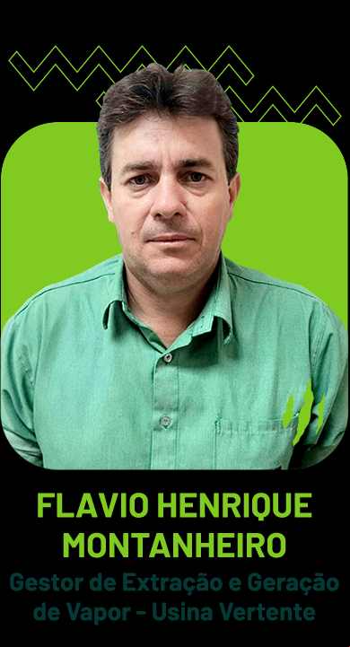 Flavio Henrique Montanheiro